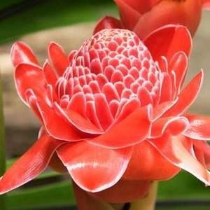 Meet your Posher, Chrystena